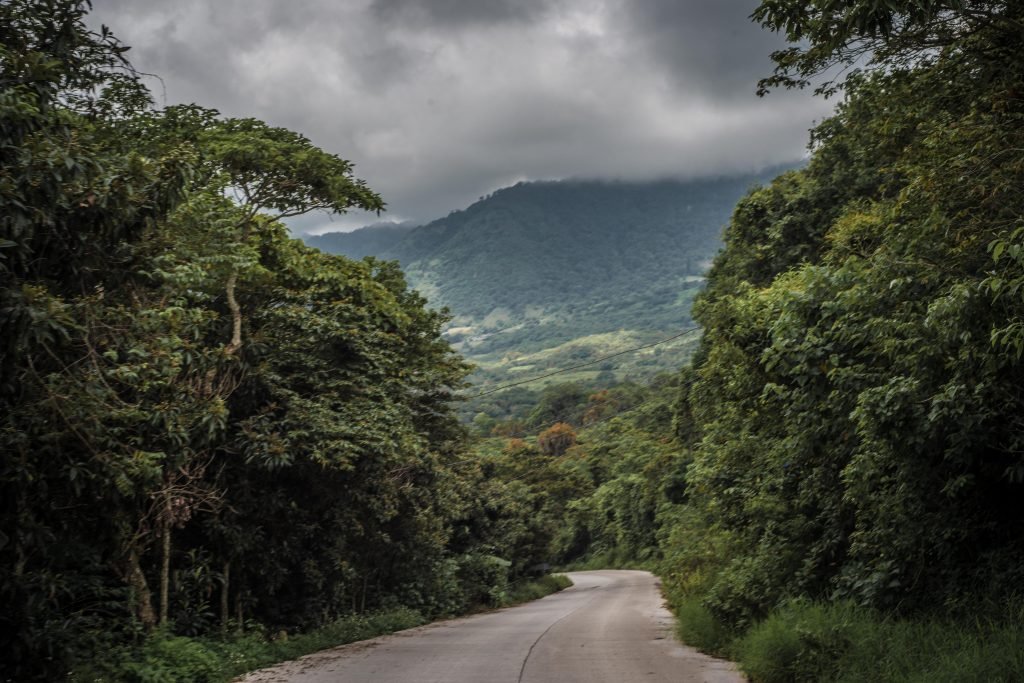 El Municipio de Alto Lucero es uno de los más importantes para el cultivo del café en México y prácticamente todos los agricultores que lo habitan dedican la mayor parte de su tierra a su cultivo. 