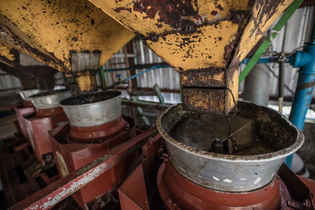 Una vez que recolectan suficientes granos, los cafeticultores llevan su cosecha a plantas procesadoras donde comienza el proceso que les permite extraer los preciados granos de café que sustentan su economía.