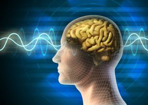 cerebro contaminación electromagnética placer a tu cerebro memoria